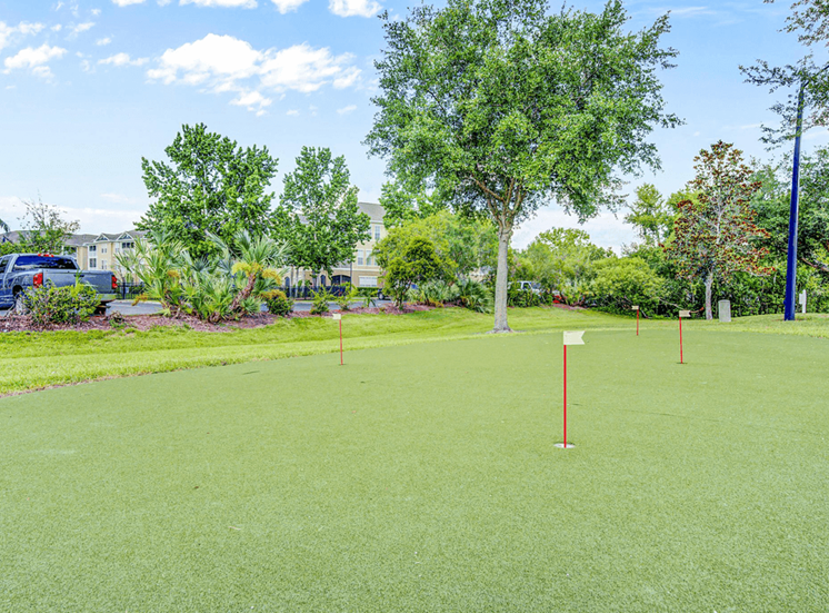 Outdoor putting green with artificial turf  and multiple flag holes. with native surrounding landscape